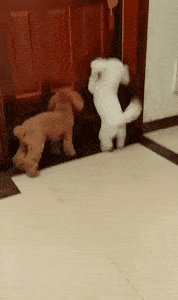 MANO_NOUR tweet media