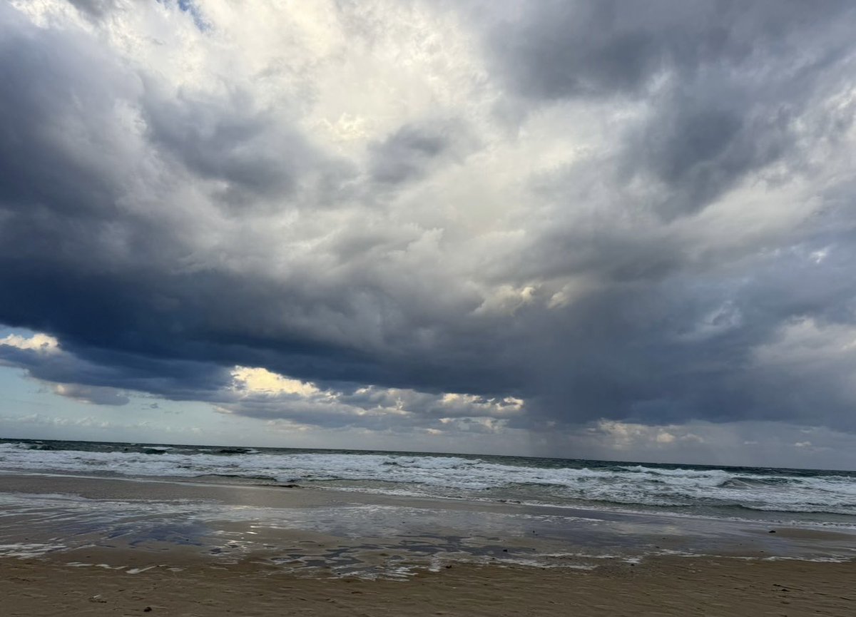 רוני כהן 🙆♀️ tweet media