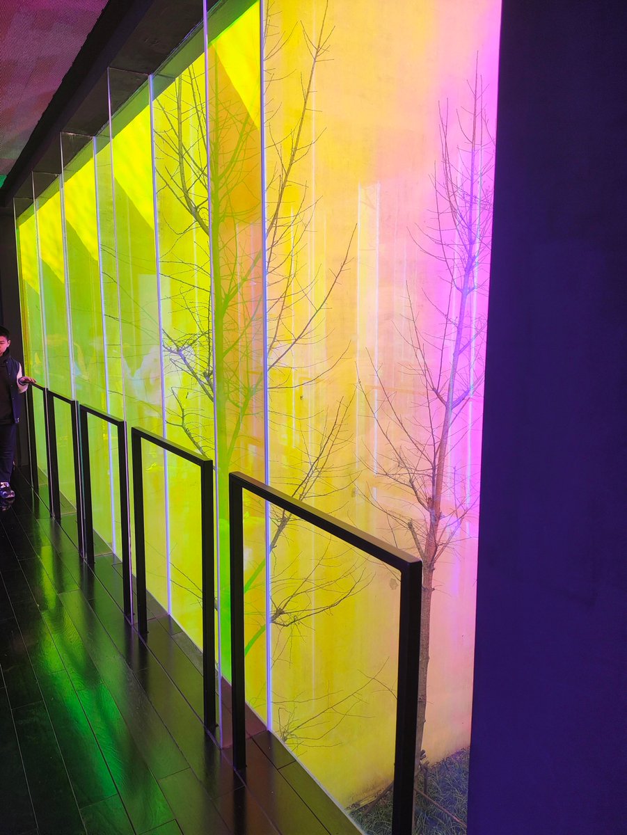 abigail HOOK tweet media