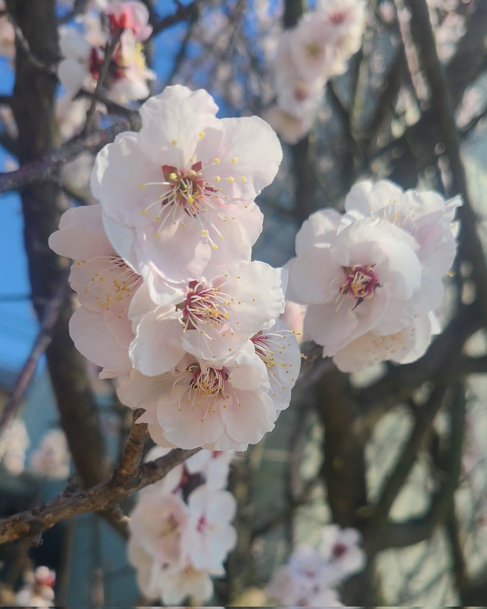 원톢이💙🌻 tweet media