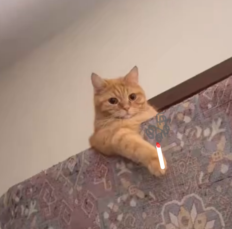 White Spot tweet media