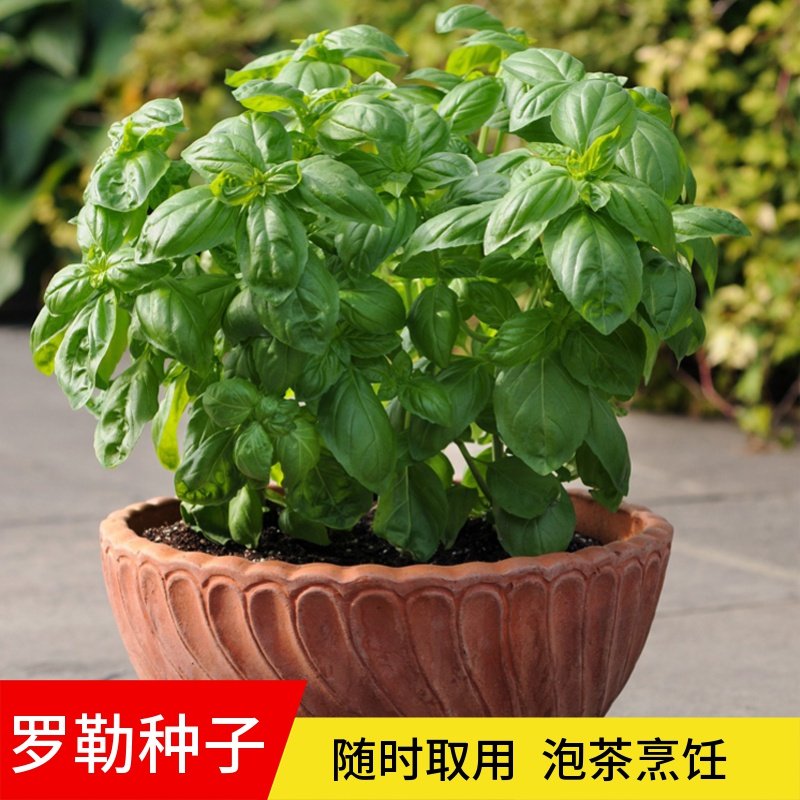 Chanie Kuschelteddie tweet media