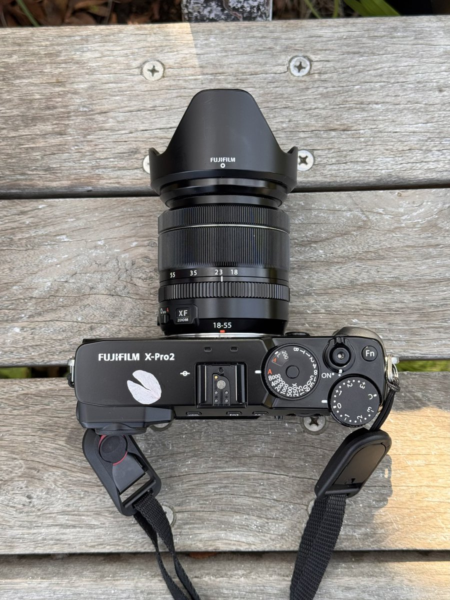 ラッコ tweet media