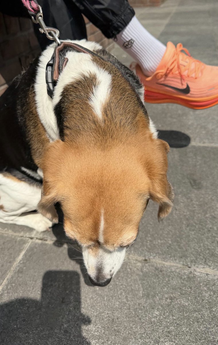 요이땅섭 tweet media