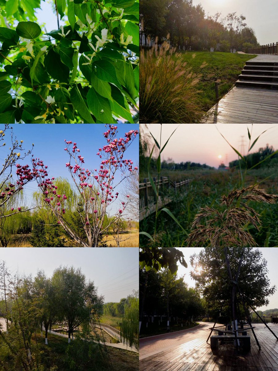 jack smith tweet media