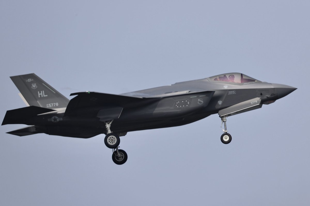 ポテッタン tweet media