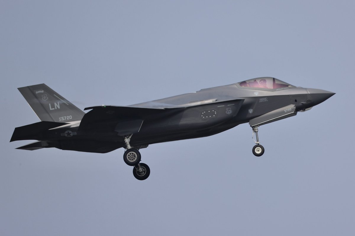 ポテッタン tweet media