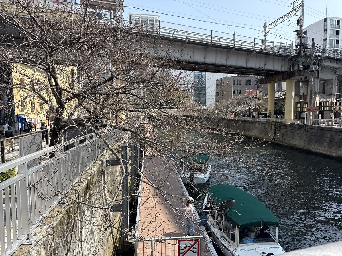 飯島モトハ tweet media