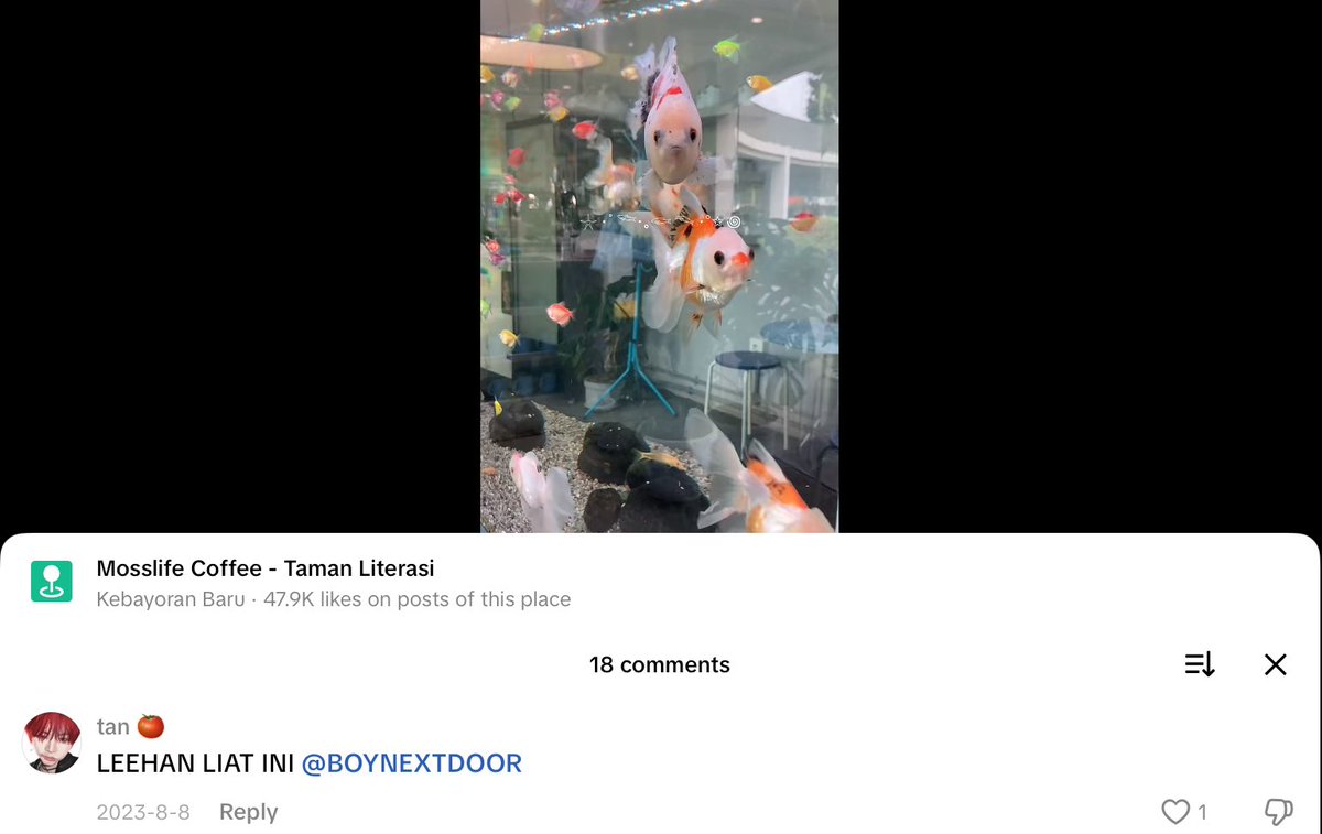 tan★.ᐟ tweet media