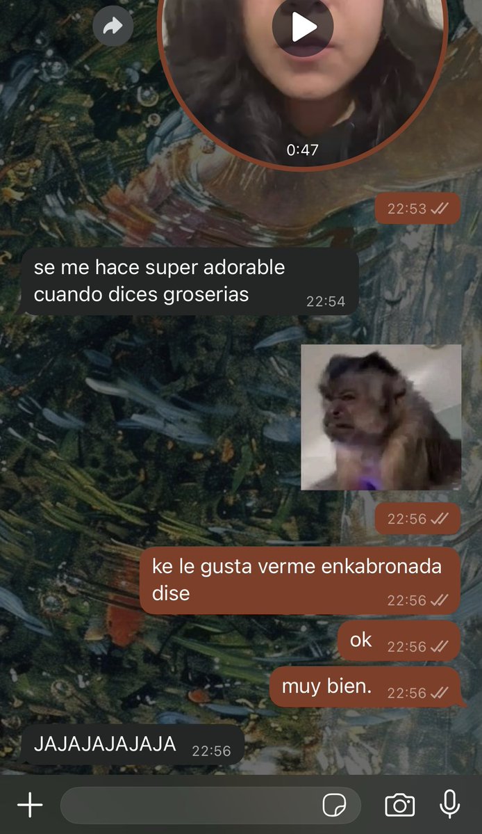 enchanting ghost ── .✦ tweet media