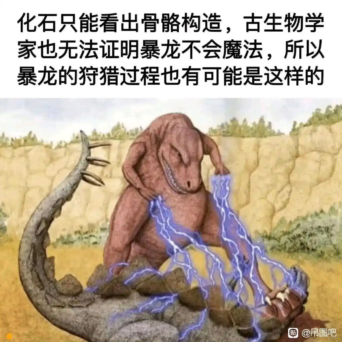 禿道道🐟 tweet media