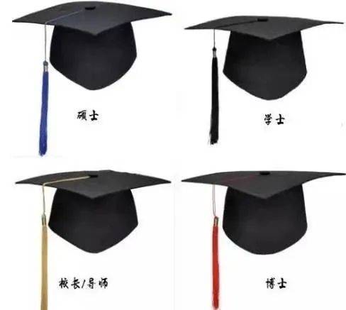 Phan Ngọc Bích tweet media