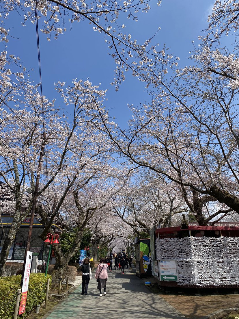 ときすみとっきぃ 【公式】御殿場高原 時之栖 tweet media