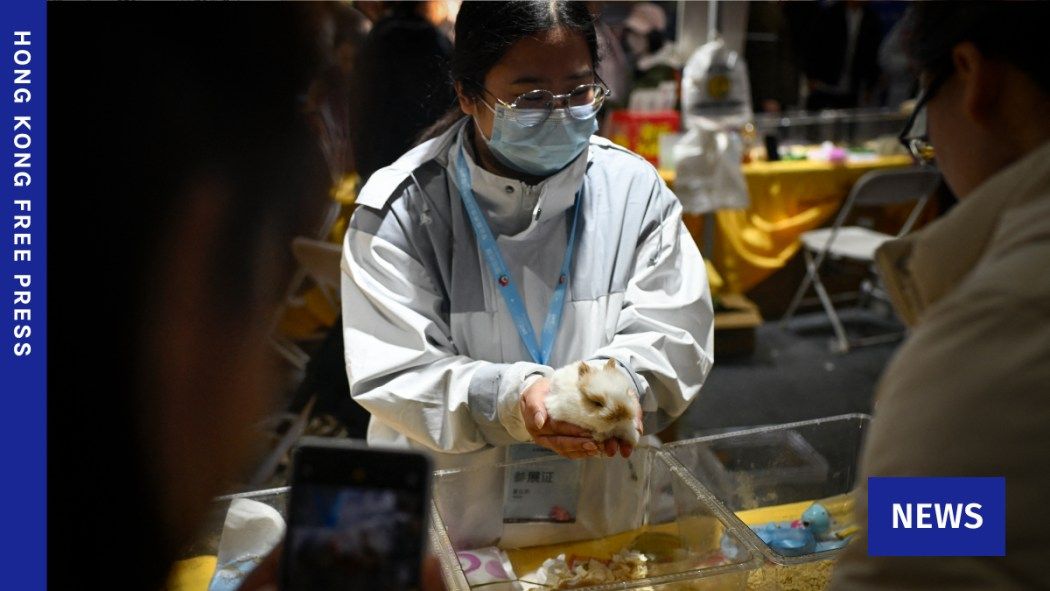 Hong Kong Free Press HKFP tweet media