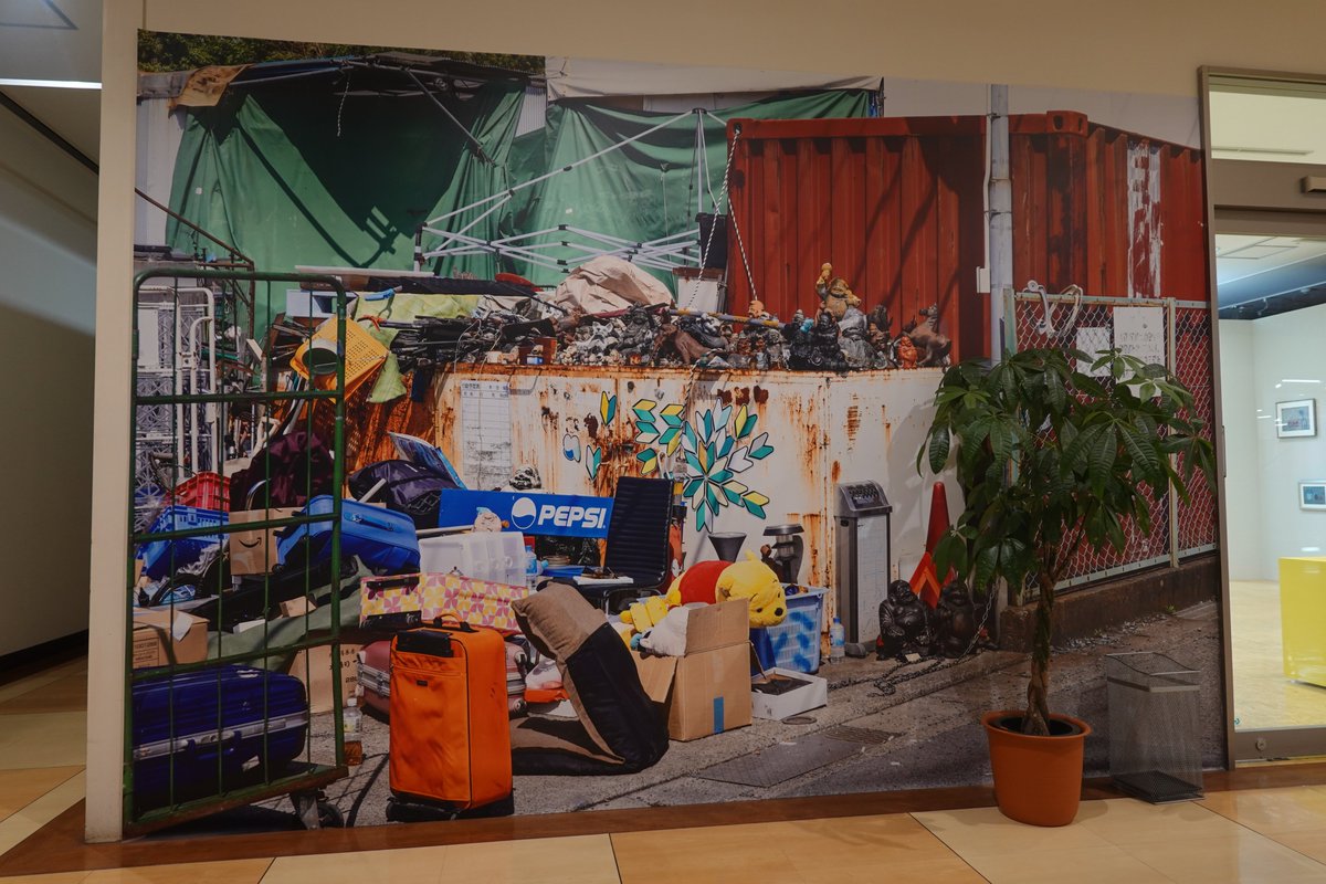 梅ラボ tweet media