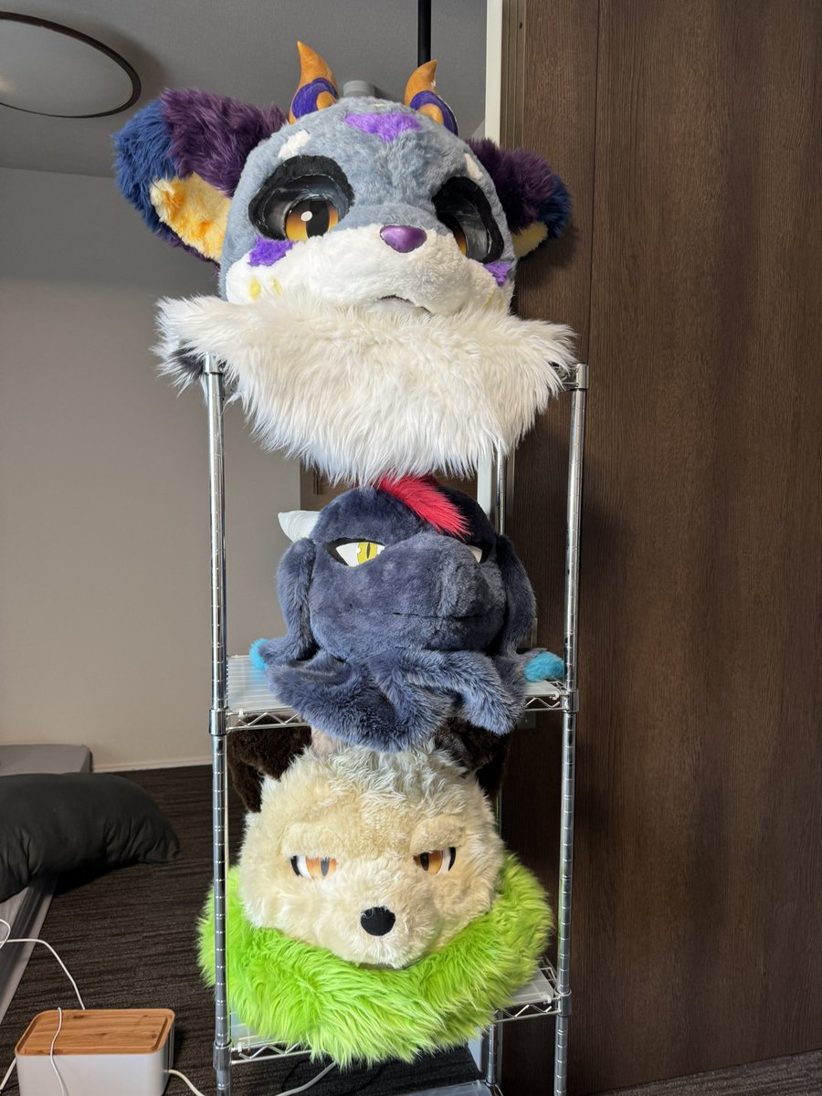 サミュエル🦉🇯🇵NEXT➵❓❓ tweet media