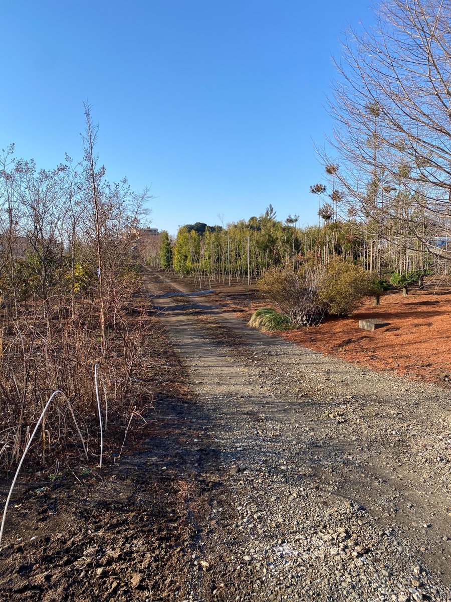 TERUOKI MISHINA tweet media