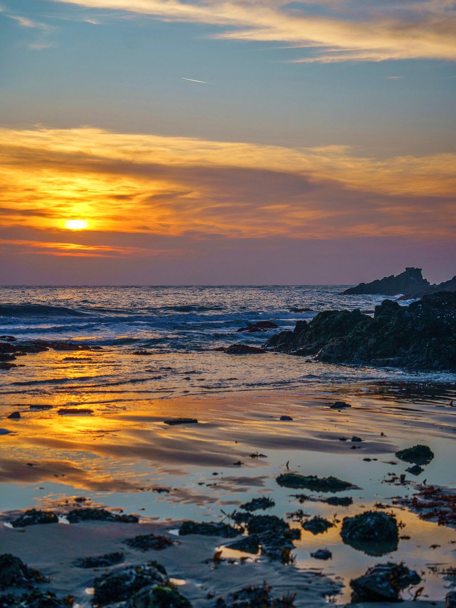 jennifer kibodeaux tweet media