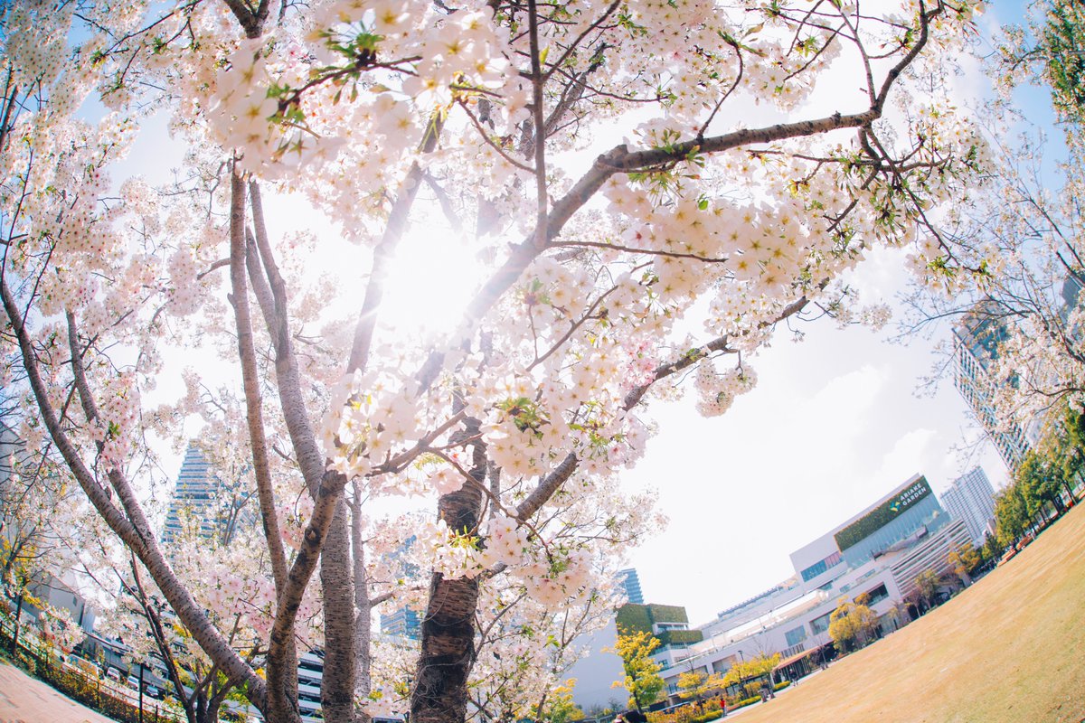 GENERATIONS tweet media