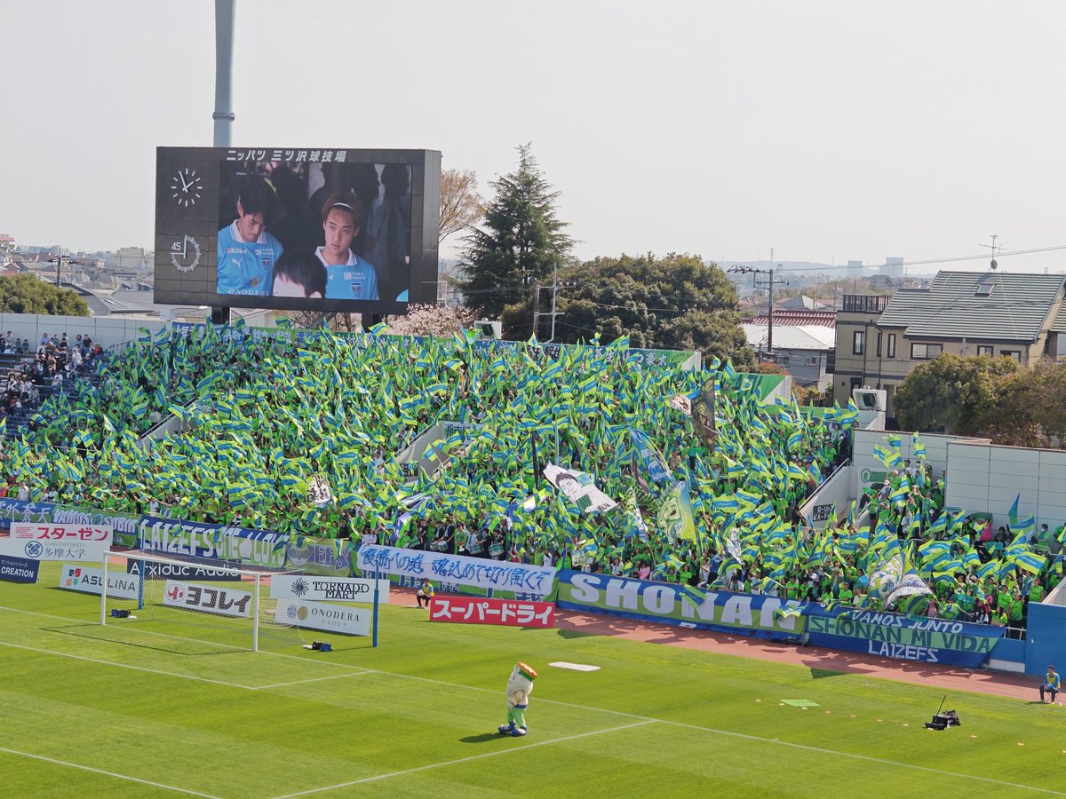 ベルマガ編集長@有坂玲 tweet media