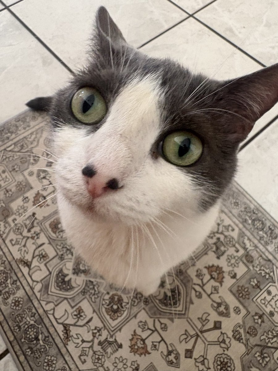 Jack 🗿 tweet media