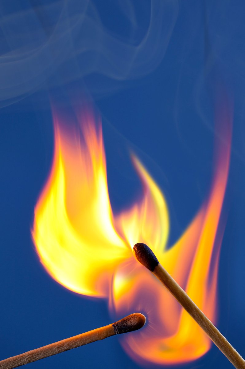 찌(๑ơ ₃ ơ) tweet media