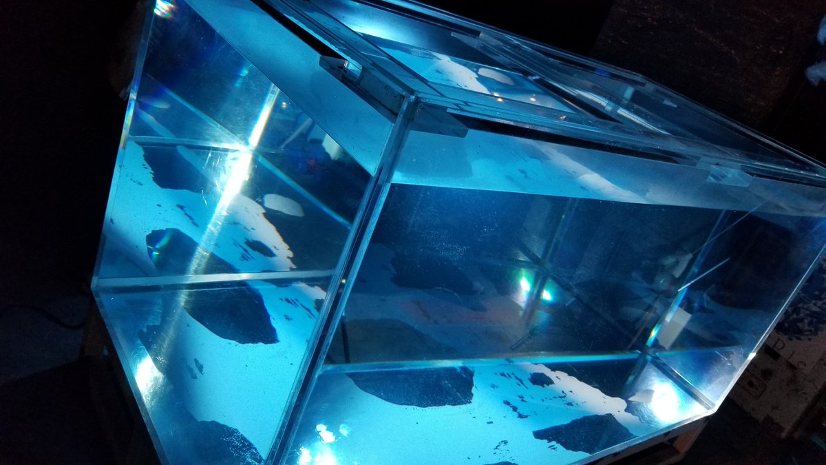 studioripple tweet media