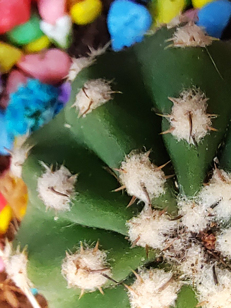 하정민 tweet media