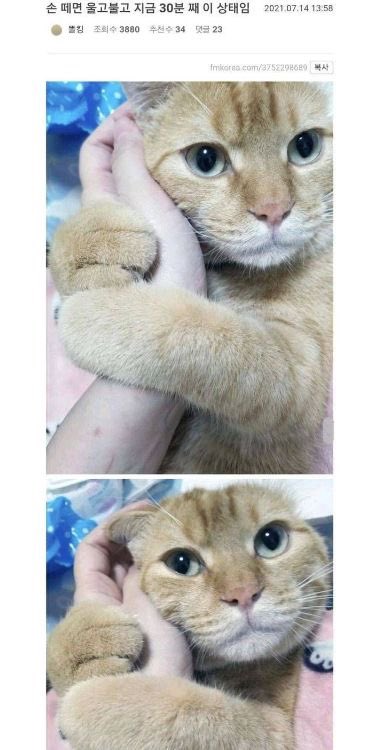 권필쌍 tweet media