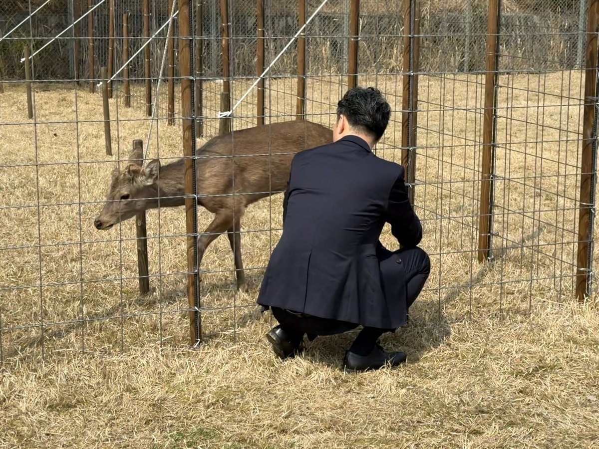 横山 英幸 (大阪市長) tweet media
