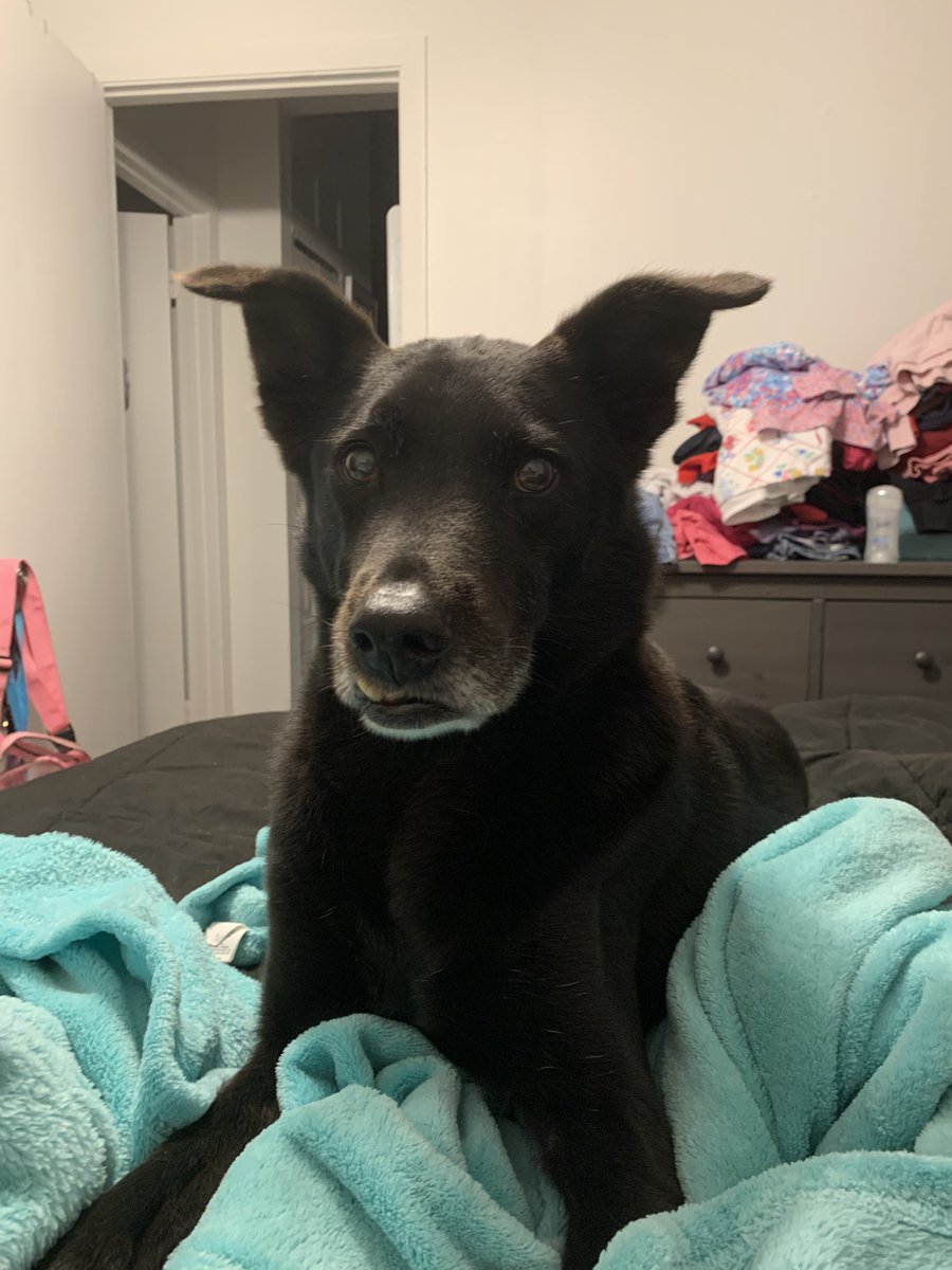 DanielaWX 🌴 tweet media