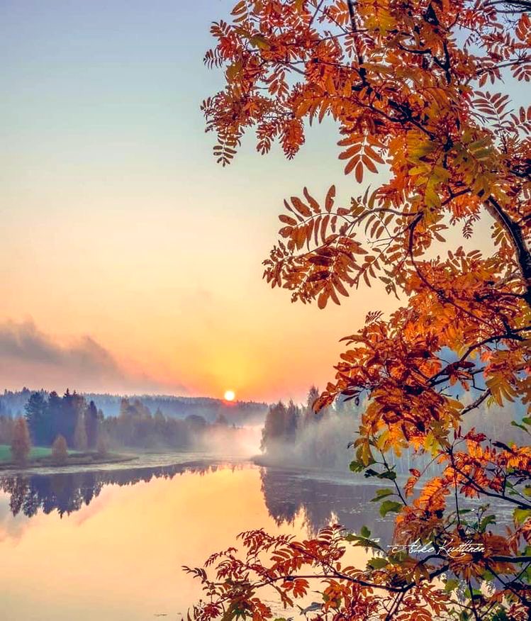 Loeka02's tweet image. ✧ ☀️ Golden Saturday ☀️ ✧

A brand new day, a soul set free,
In calm and bright serenity.
The weekend shines in every part,
With joyful peace for every heart.

May every step and every ray,
Bring gentle hope to light your way. 

🌿✨🕊️

#GoodMorning #Saturday #NewDay #Serenity