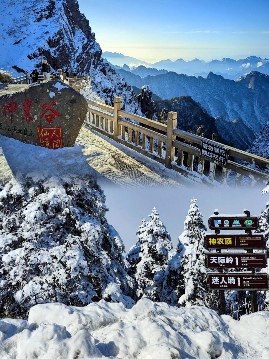 kidomuchlove tweet media