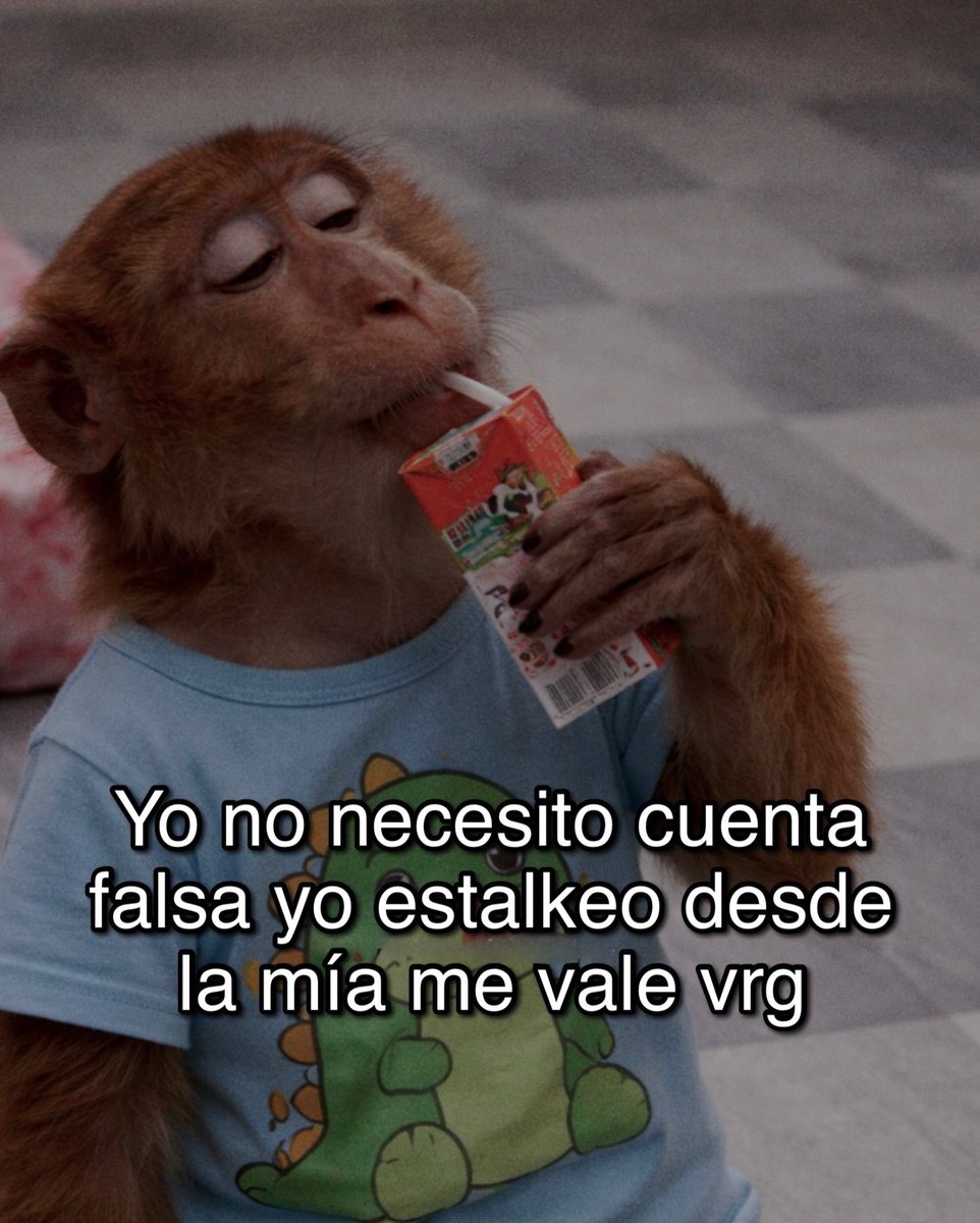 Mundo de Bigotes tweet media