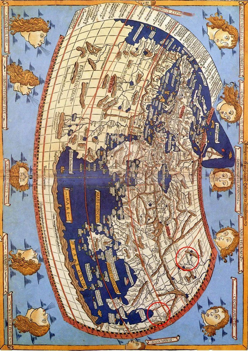 Amanda Ribeiro tweet media