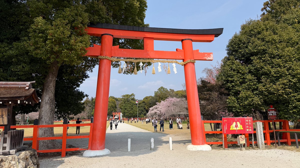 逃げドラ tweet media