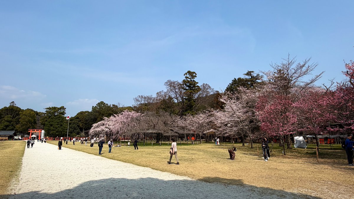 逃げドラ tweet media