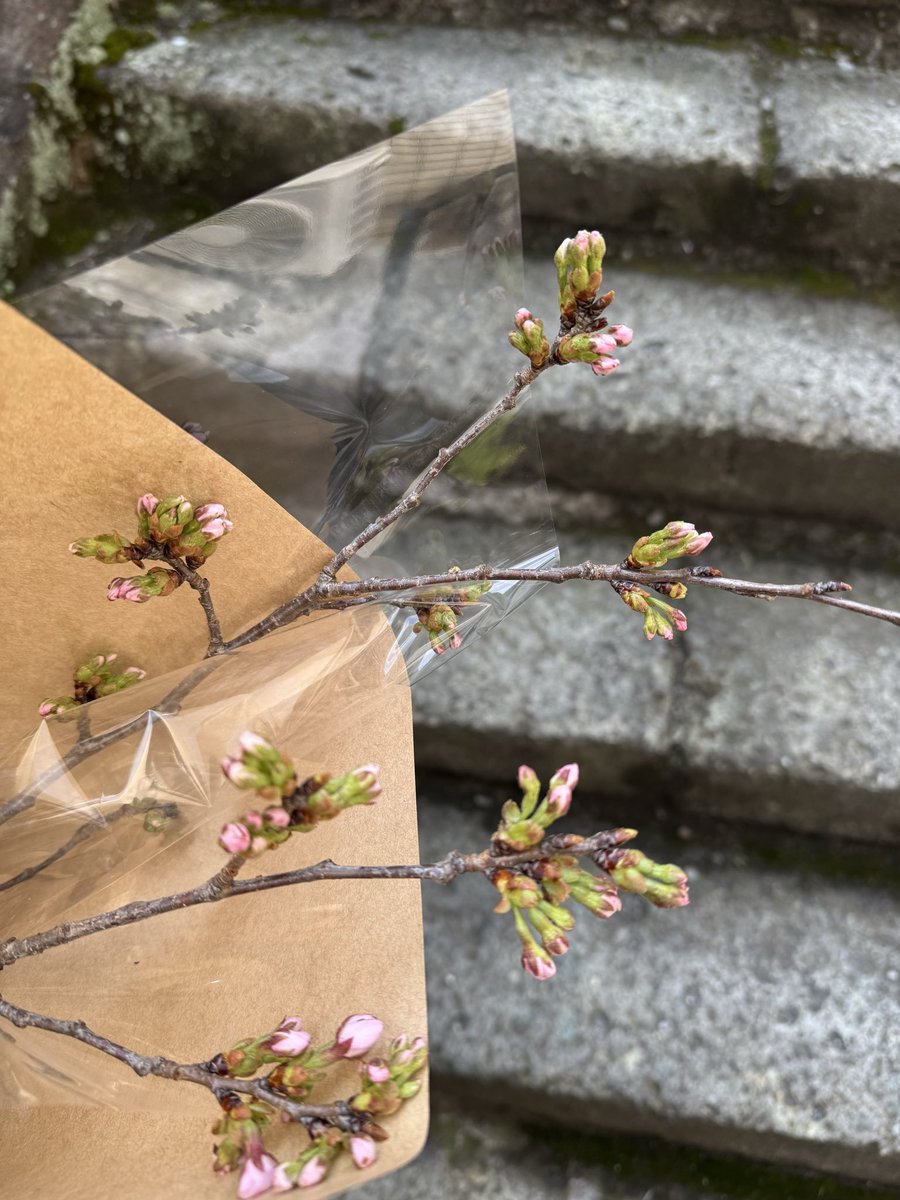 莉於子 tweet media