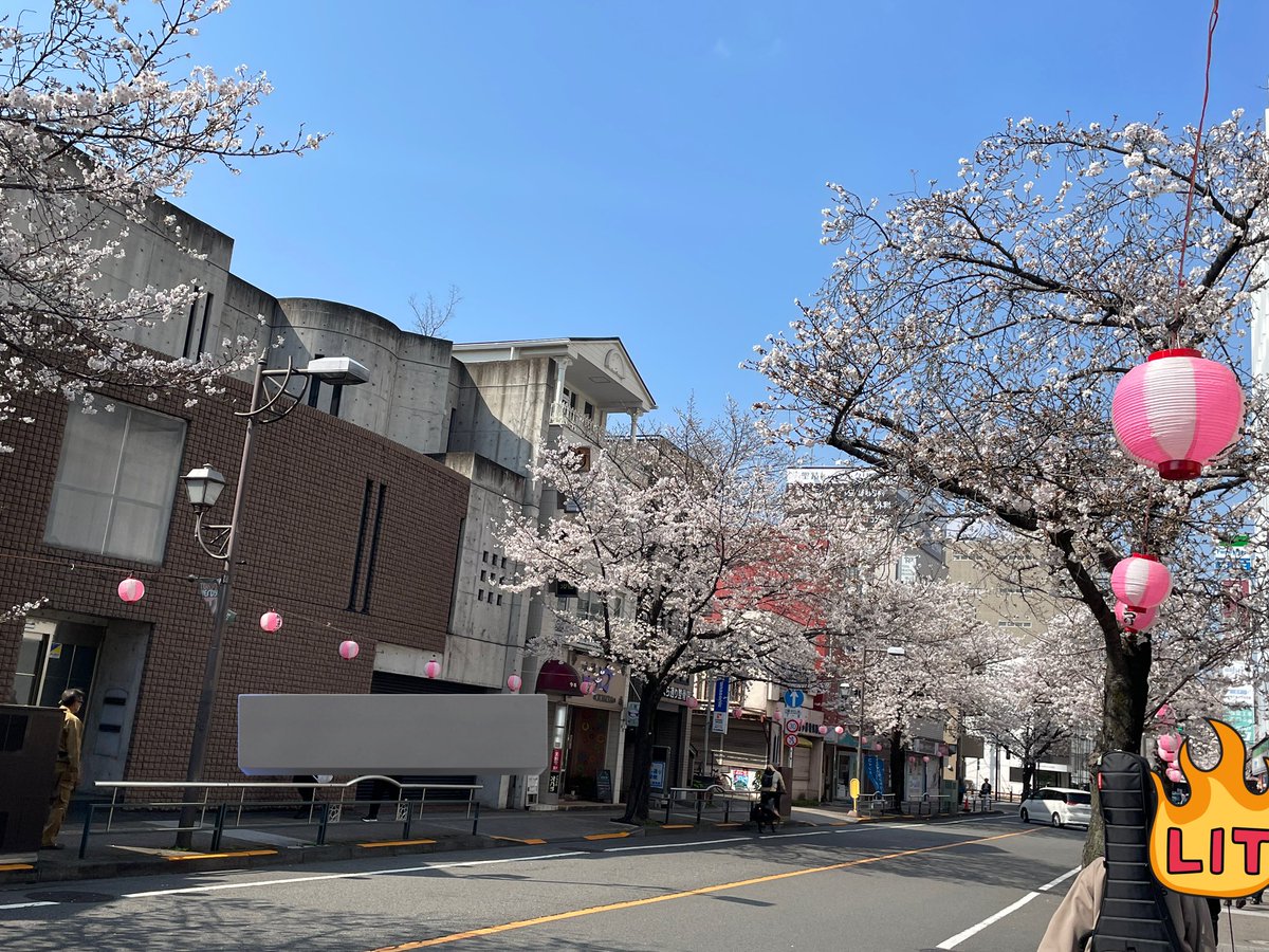 ツバサンブル@3/28(土)せいせきミュージックフェス tweet media