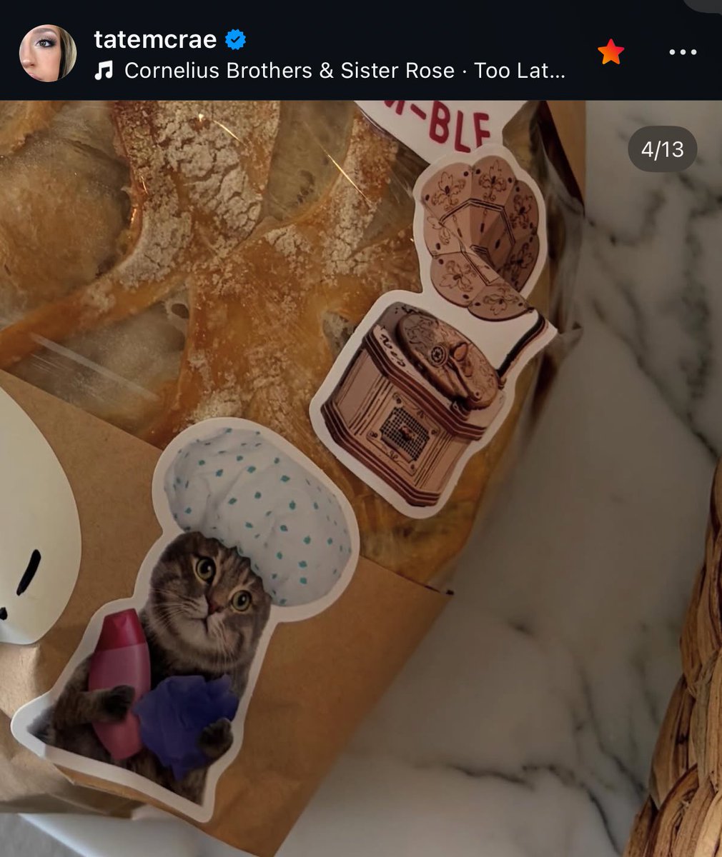 chloe🪽🩷 tweet media