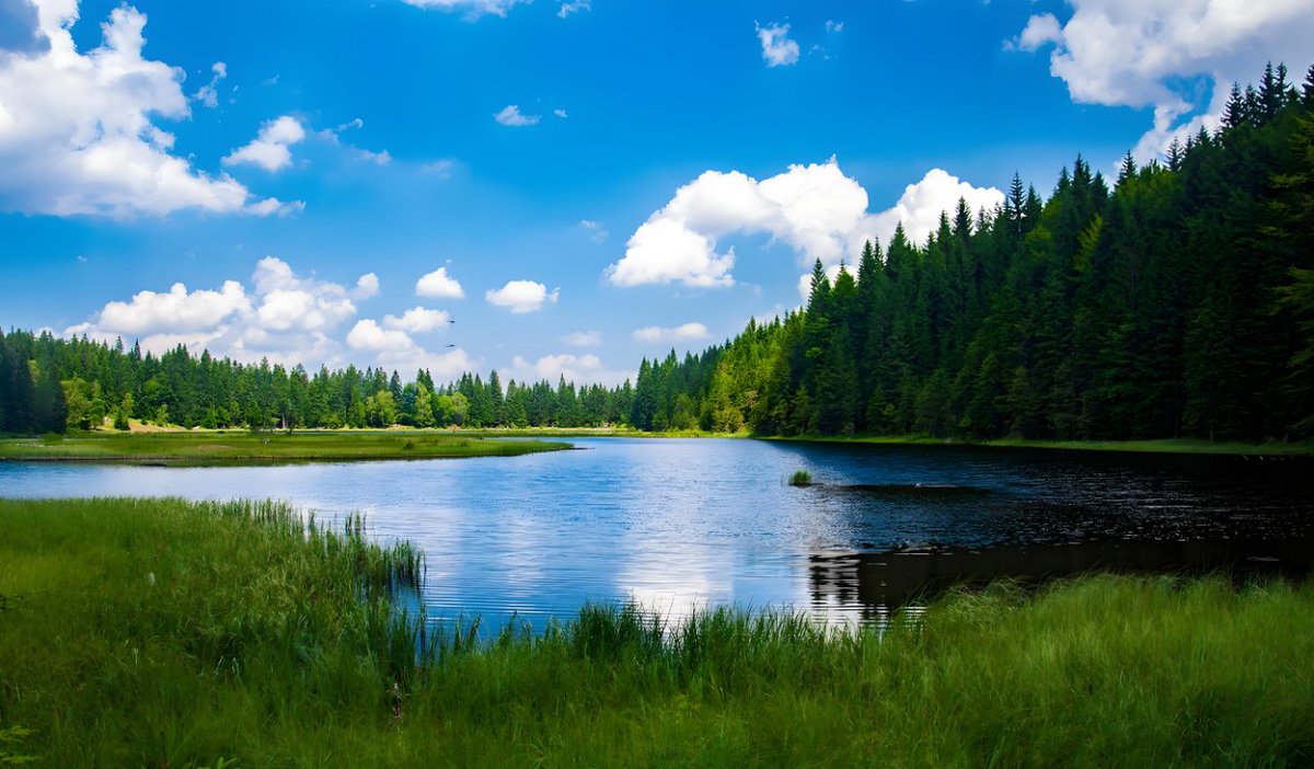 Amy Perry tweet media