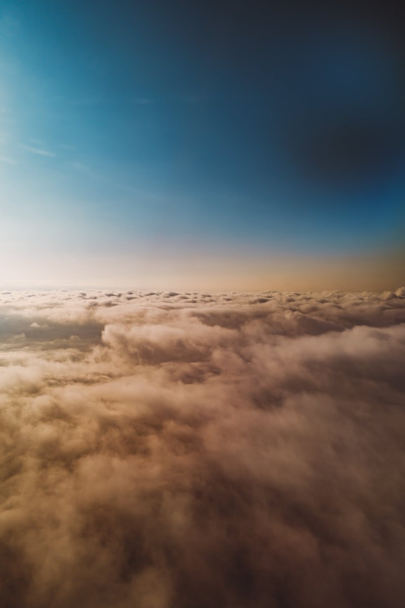 🕊 𓂃𓈒 𓂂𓏸 tweet media