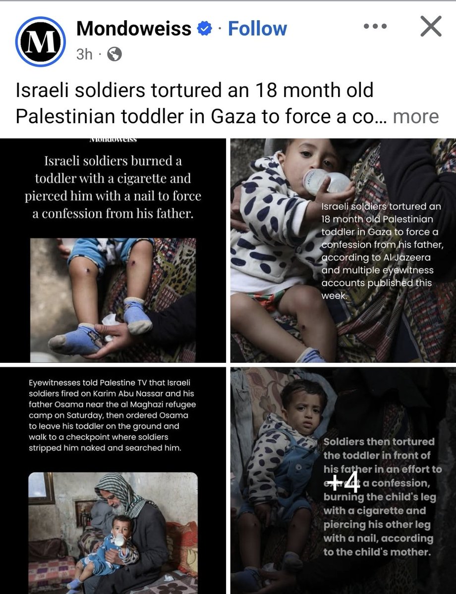 Dame Linda 🇵🇸 #FreePalestine 🍉 tweet media