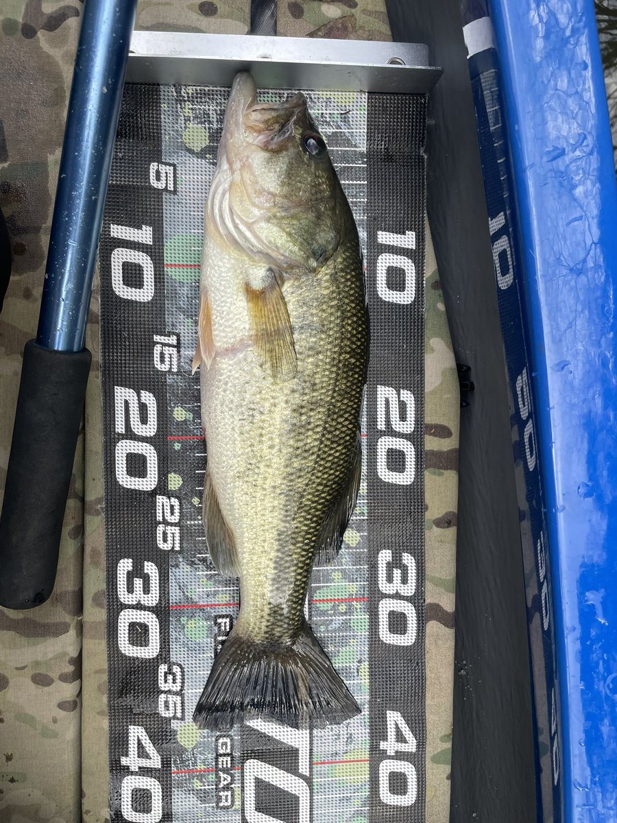 もりたに tweet media