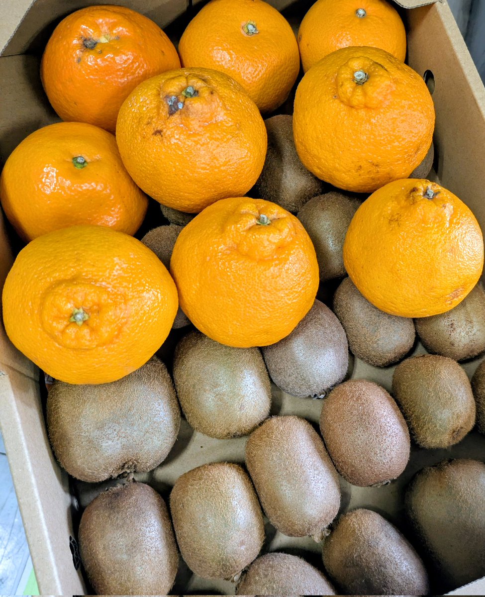 PLUS FOOD 公式【店舗様は無料で参加できます】美味しく賢くフードロス削減に御協力を tweet media