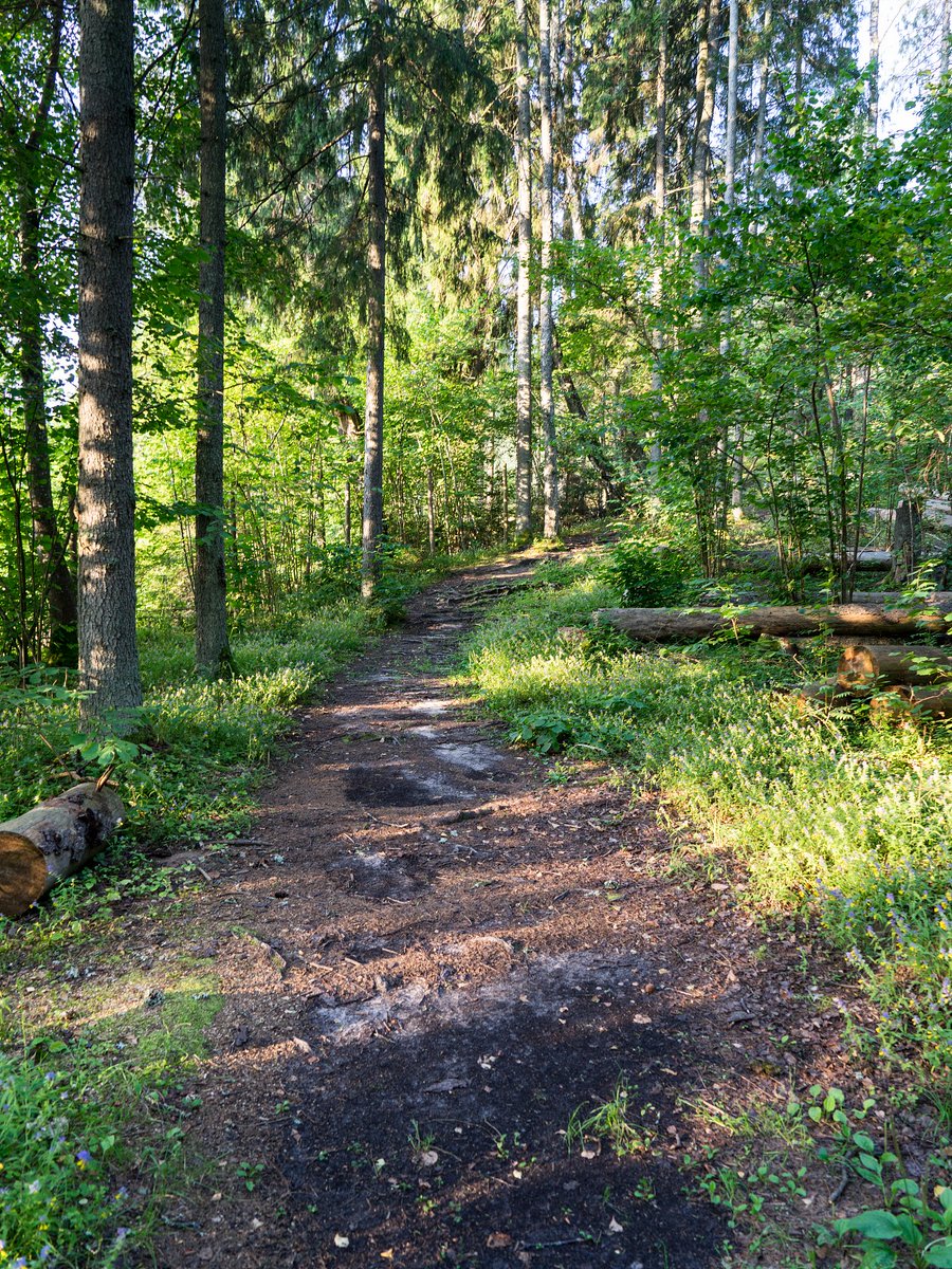 nickesha tweet media