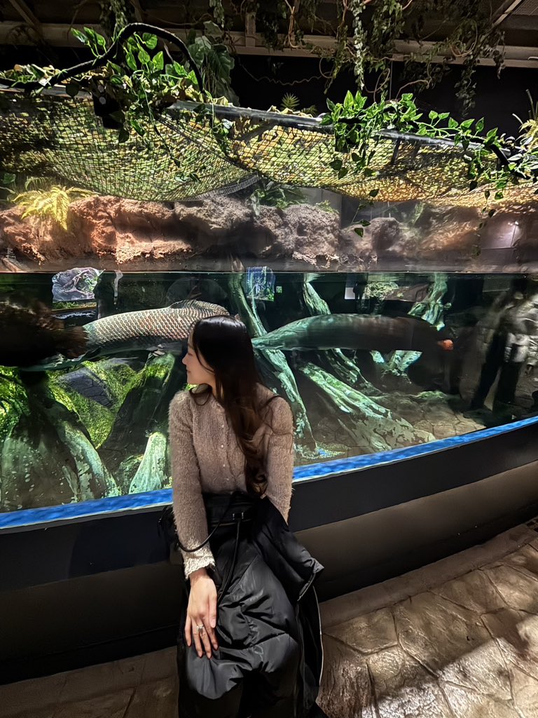 中央大学競技ダンス研究会 tweet media