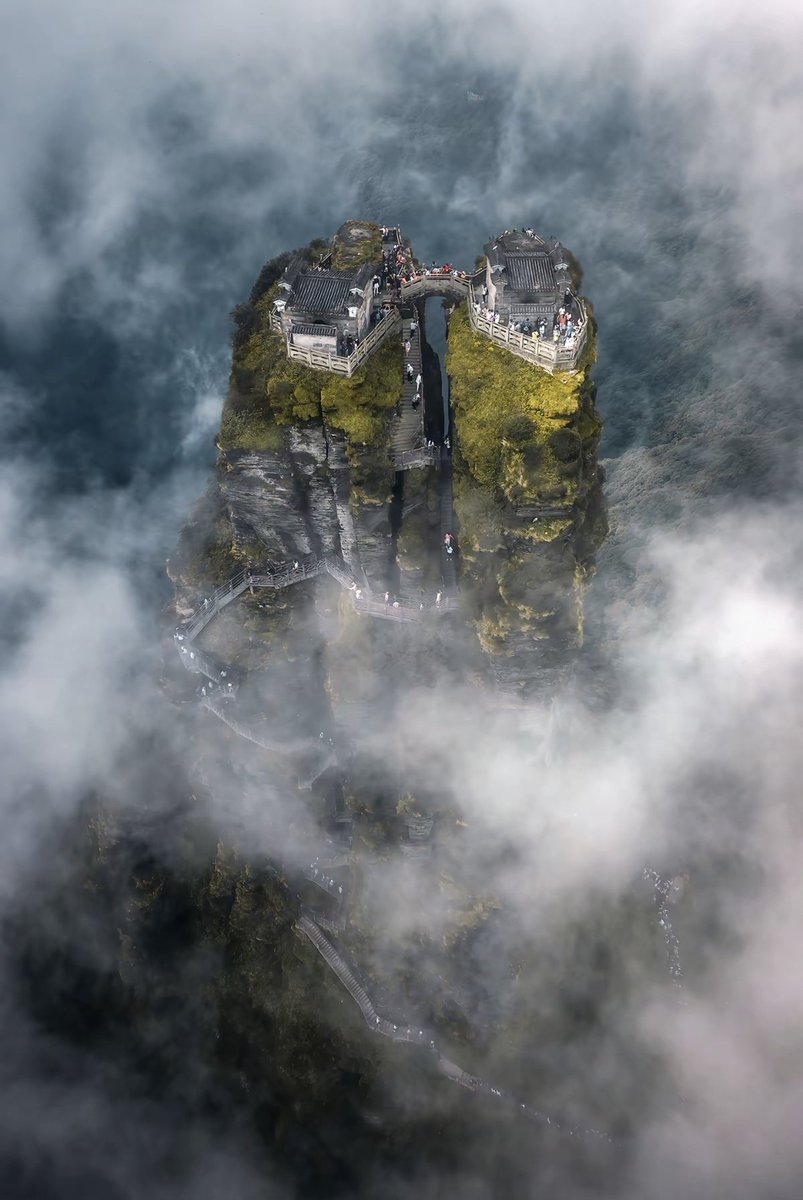 V.Vans•獾郎🦡 tweet media