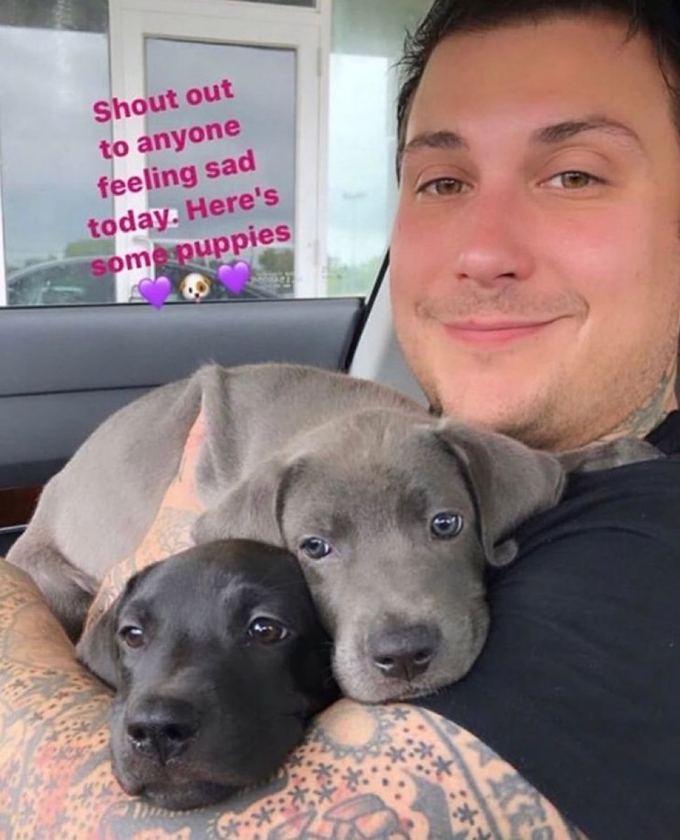 Frank with fat dog daily tweet media