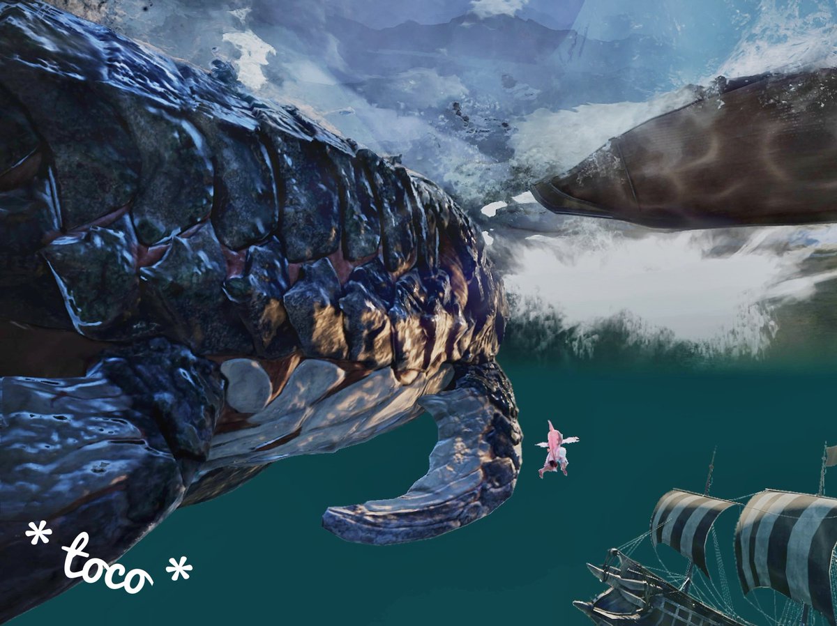 * toco * tweet media